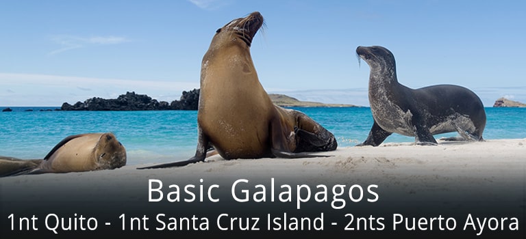 Basic Galapagos Tour Top Banner