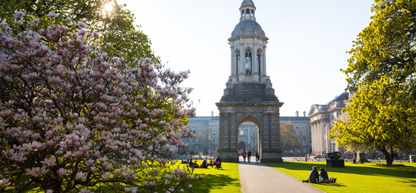 Trinity College - Ireland Picture