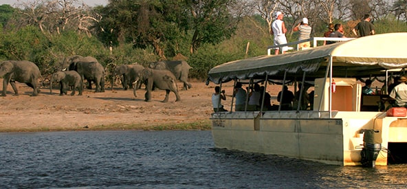 South Africa Chobe River Picture