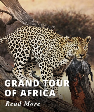 Grand Tour of Africa
