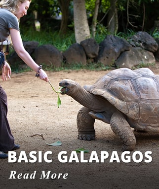 Basic Galapagos Tour