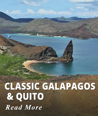 Galapagos aboard a Cruise Ship