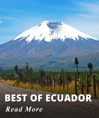 Galapagos - Quito - Otavalo - Chaski - Cuenca Tour