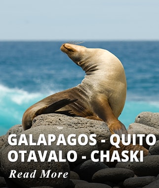Galapagos - Quito - Otavalo - Chaski Tour