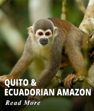 Quito & Ecuadorian Amazon