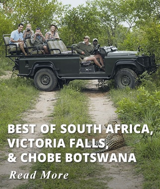 Best of South Africa, Victoria Falls & Chobe Botswana Tour