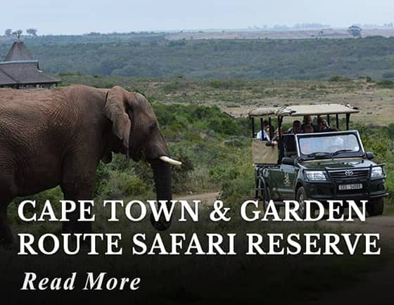 Cape Town & Garden Route Safari Tour
