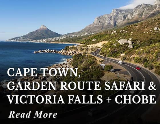 Cape Town, Garden Route Safari & Victoria Falls with Chobe Tour