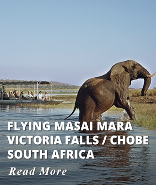 Kenya, Victoria Falls & South Africa