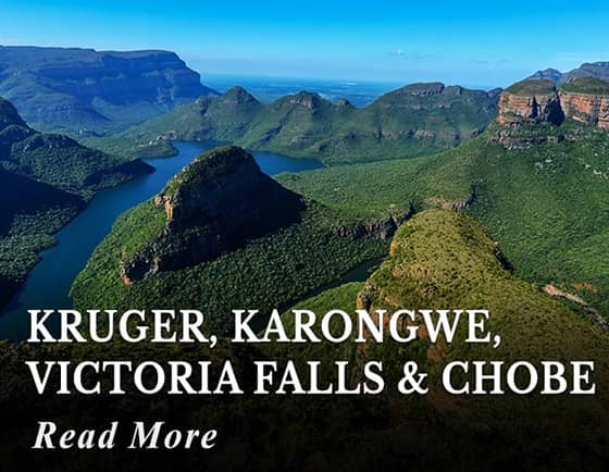 Kruger, Karongwe, Victoria Falls & Chobe