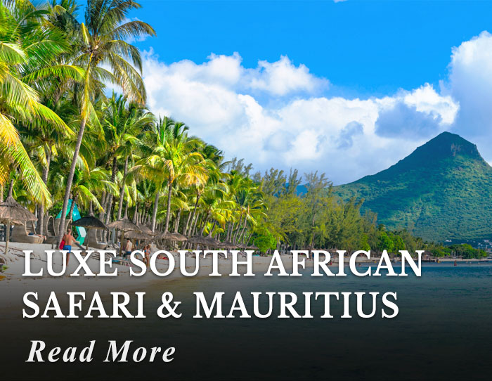 Luxe South African Safari and Mauritius Tour