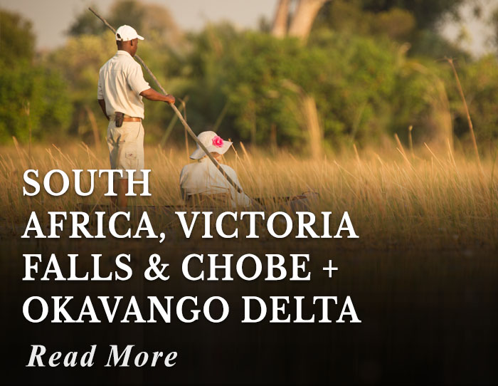 South Africa, Victoria Falls and Chobe + Okavango Delta Tour
