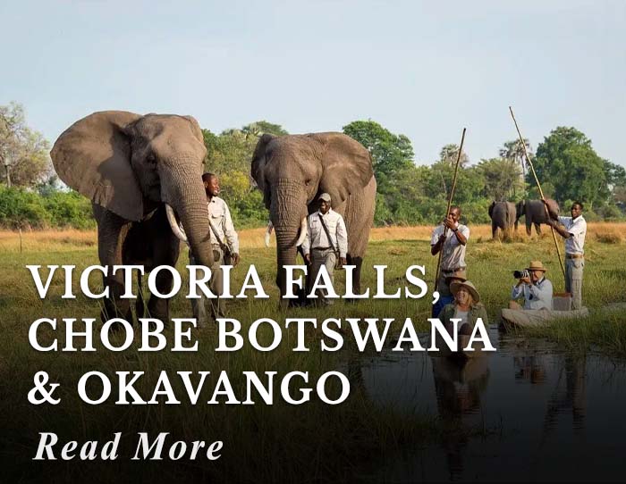 Victoria Falls, Chobe & Okavango Tour