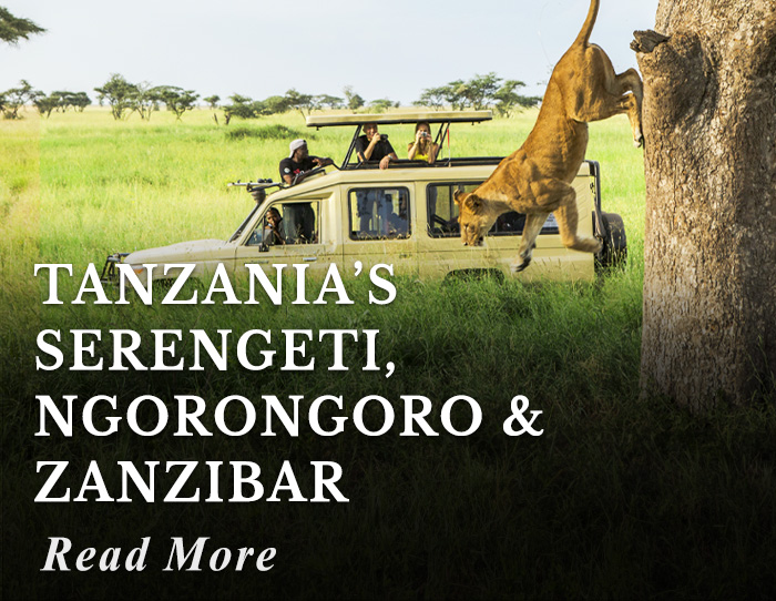 Tanzania’s Serengeti, Ngorongoro and Zanzibar Tour