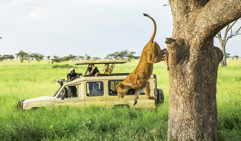 Tanzania’s Serengeti, Ngorongoro and Zanzibar