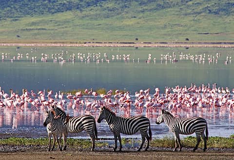 Ngorongoro Crater Conservation Area