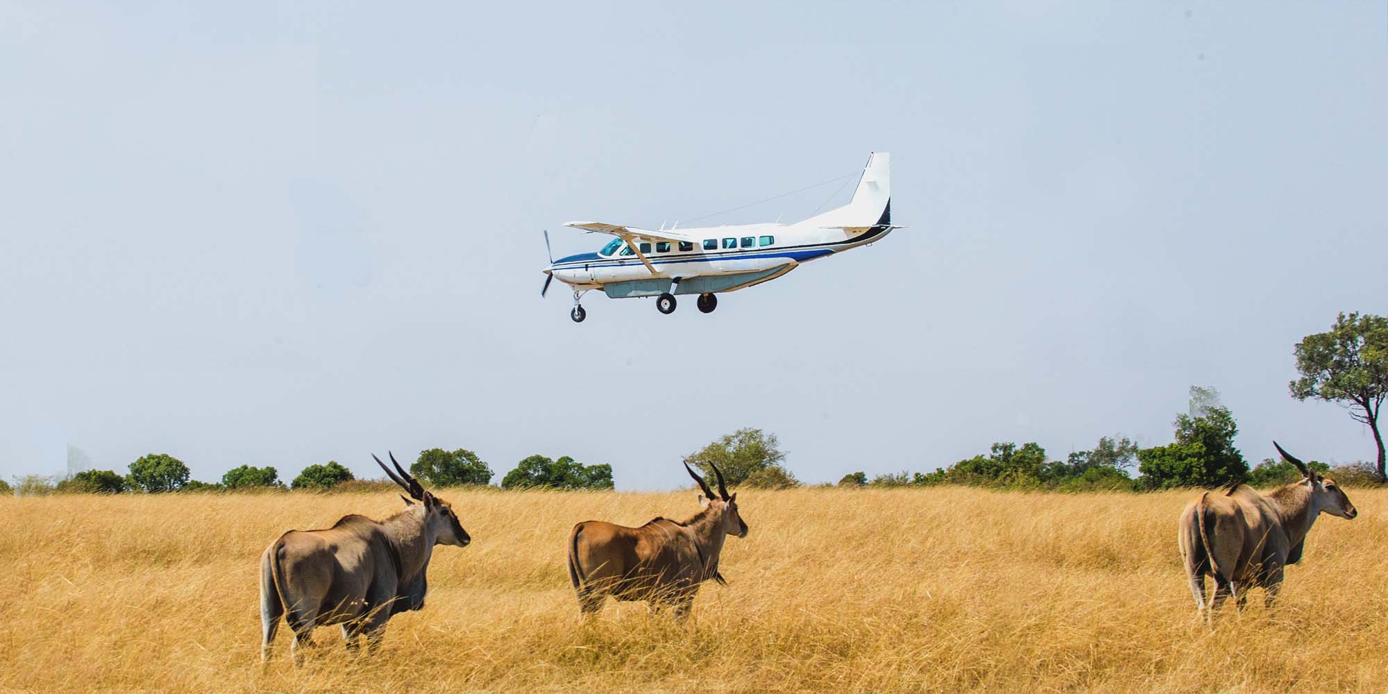 Egypt and fly in-to Masai Mara Safari Tour